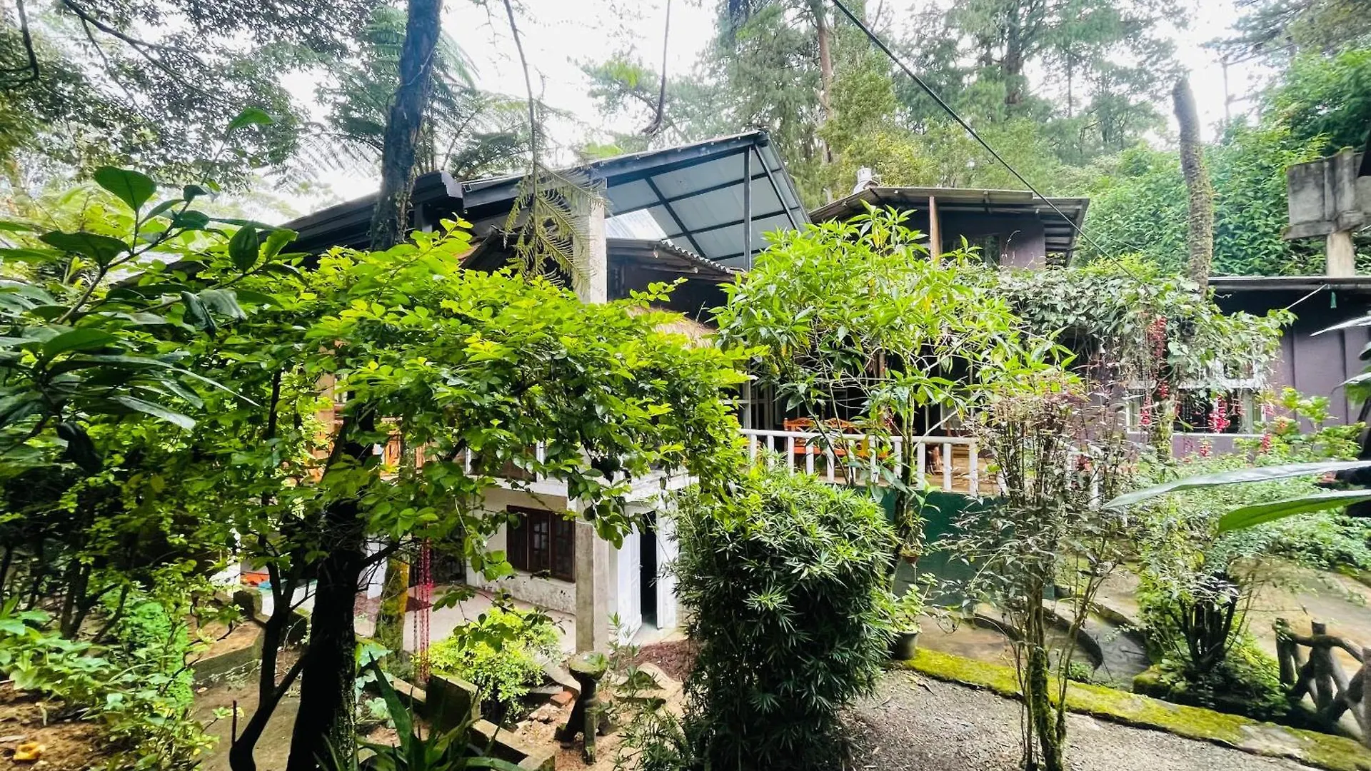Gasthuis King Fern Cottage Nuwara Eliya