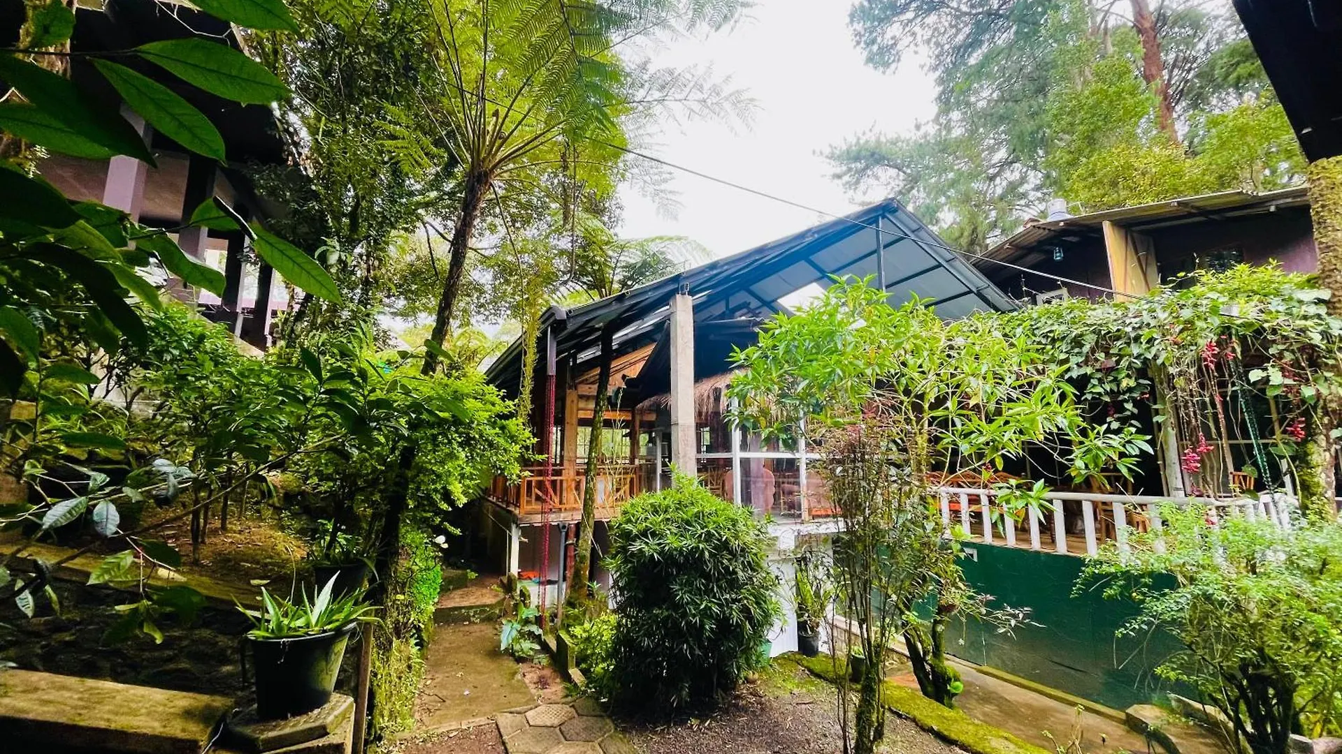 King Fern Cottage Nuwara Eliya 0*,