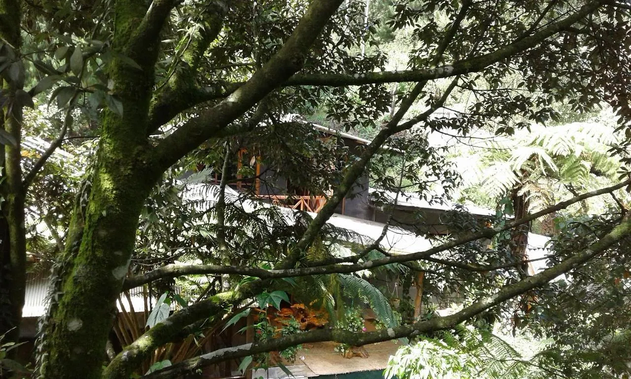 King Fern Cottage Nuwara Eliya Gasthuis