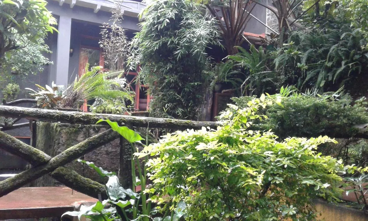 Gasthuis King Fern Cottage Nuwara Eliya Sri Lanka