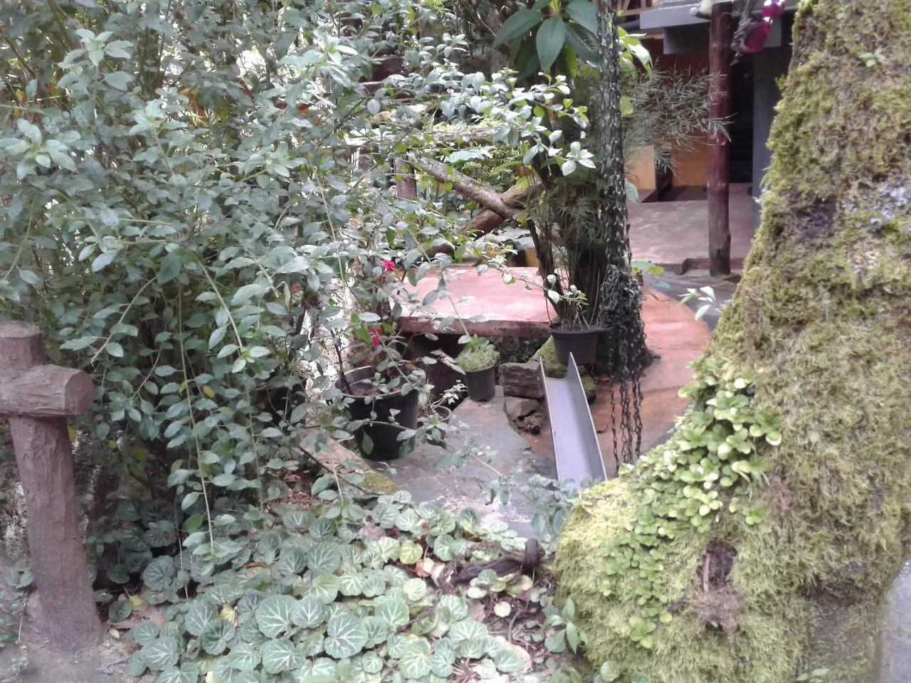 King Fern Cottage Nuwara Eliya Gasthuis