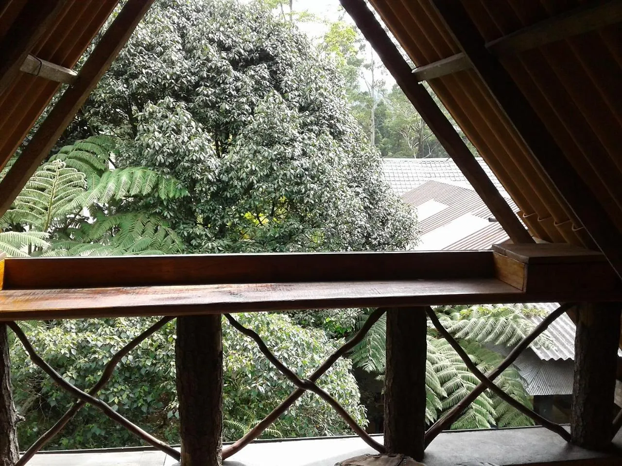 Gasthuis King Fern Cottage Nuwara Eliya Sri Lanka